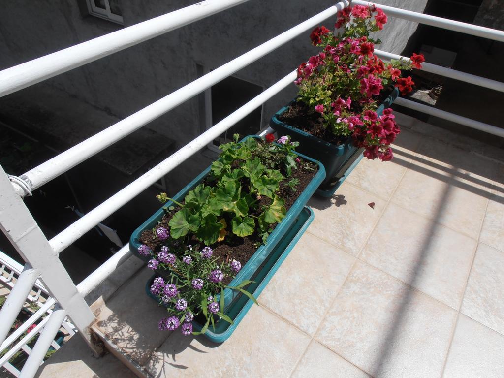 Apartmani Zeljko Vujovic Μπούντβα Εξωτερικό φωτογραφία